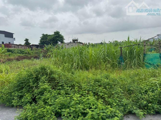 🆘🆘🆘Chính củ gửi bán lô đất phấn dũng, Dương Kinh, Hải Phòng 100m - 2