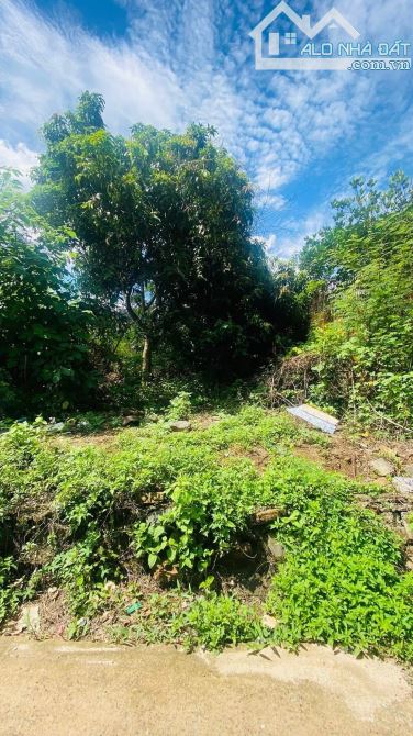Bán đất hẻm 29 Tuệ Tĩnh 4,5x40 (tte 42m)  giá tốt - 2