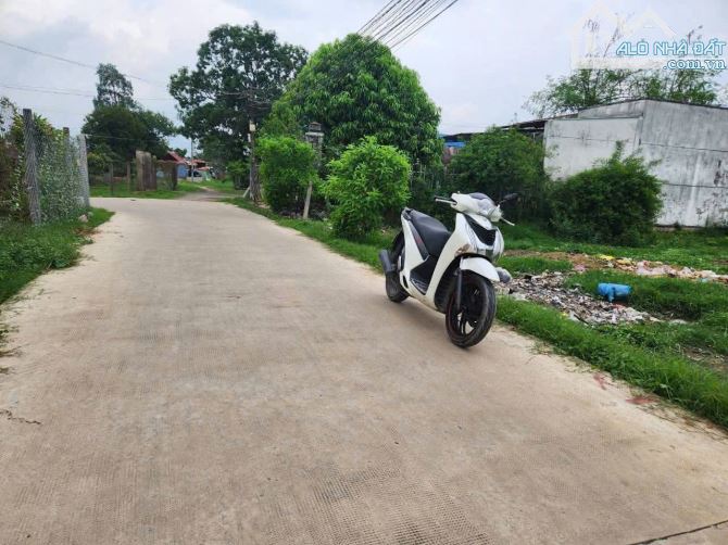 299 m2 ĐẤT VƯỜN BAO THỔ ĐƯỜNG BÊ TÔNG 6m ĐỨC HÒA TT 600 TRIỆU CHÍNH CHỦ - 2