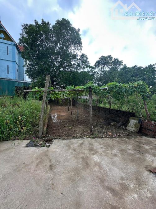 Bán đất Chương Lộc 47.3 m2 giá hơn 2 tỷ oto vào đất - 2