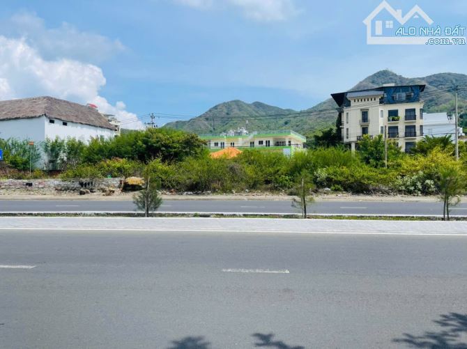 Lô đất biệt thự nằm mặt tiền đường Phạm Văn Đồng - 2