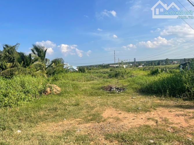 ✳️ BÁN ĐẤT VƯỜN THANH LONG TẠI XÃ HÀM MỸ - TỈNH BÌNH THUẬN - 2