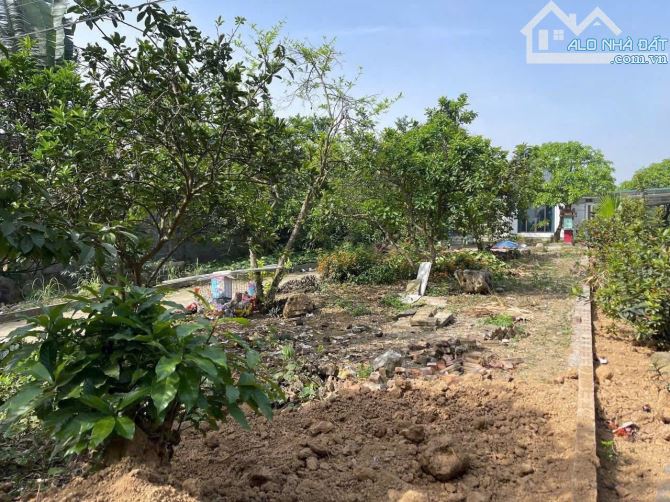 CẦN BÁN NGAY 480m2 giáp dự án đường ĐÔNG DƯƠNG đang khởi công - 2
