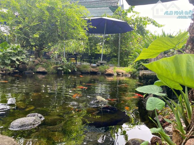 21m ôm MẶT TIỀN đường LÊ DUẨN – TT THỊ TRẤN ĐẤT ĐỎ ☘️Đi biển Phước Hải 5 phút - 2