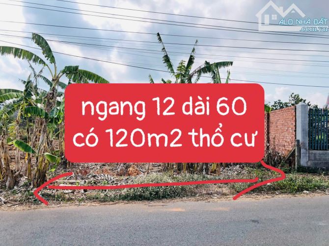 Mặt tiền đường Phạm Văn Hy - Thị trấn Đất Đỏ- Long  Đất- BRVT DT: 12x59 - 2