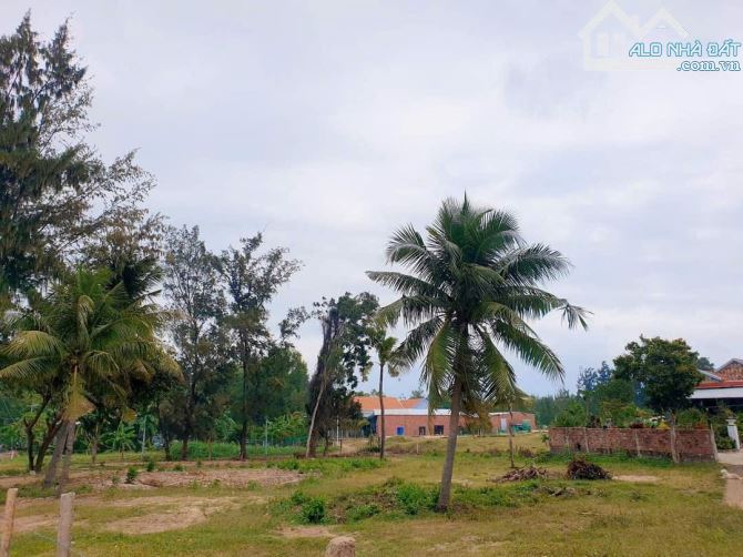 Cần Bán Đất Biển  1300m2 có 200m2 Thổ cư 3 mặt đường sát biển Phú Thường - 2