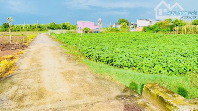 LÔ 4761M GÓC 2 MẶT TIỀN DÀI MIÊN MAN THA HỒ PHÂN LÔ GIÁ 5,5 TỶ - 2