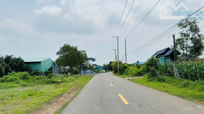 LÔ ĐẤT BIỆT THỰ VƯỜN XÃ ĐẤT ĐỎ - TP HCM  📐Diện tích 10x40-399m sẵn 82m thổ cư - 2