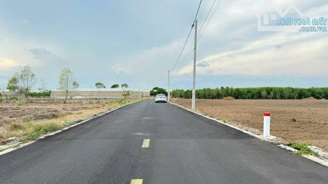 BÁN 500m2 ĐẤT XÃ ĐẤT ĐỎ- TP. HCM🌈CHỈ 1TỶ750TR🌈 ----- Dt: 10x50m; 500m2; sẵn 80tc - 2