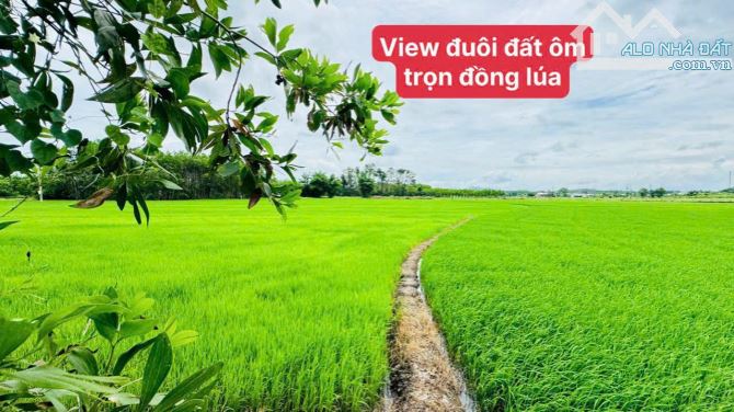 845m2 vườn cây ngay QL55 VIEW ÔM TRỌN CÁNH ĐỒNG LÚA🌾🌾 --- 🌈DT: 845m2; sẵn 80m thổ cư ✅ - 2