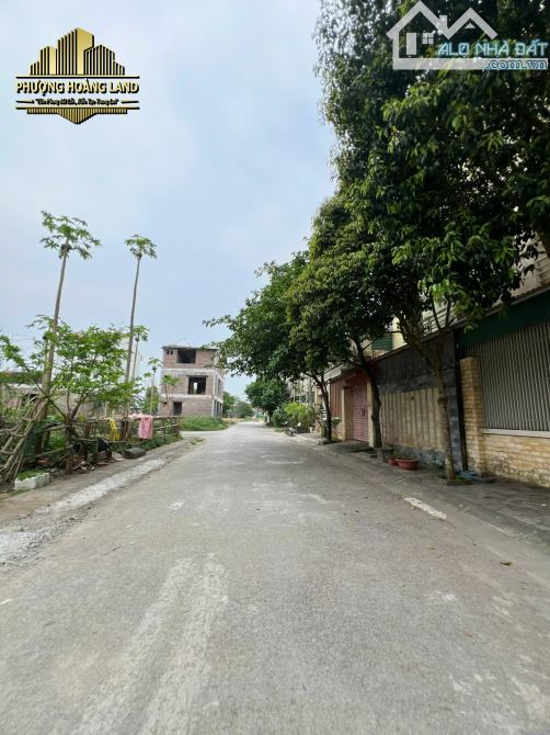 BÁN BIỆT THỰ 3 TẦNG – XÓM NGŨ LỘC-HƯNG LỘC-PHƯỜNG VINH LỘC - NGÕ HẢI THƯỢNG LÃN ÔNG - 3