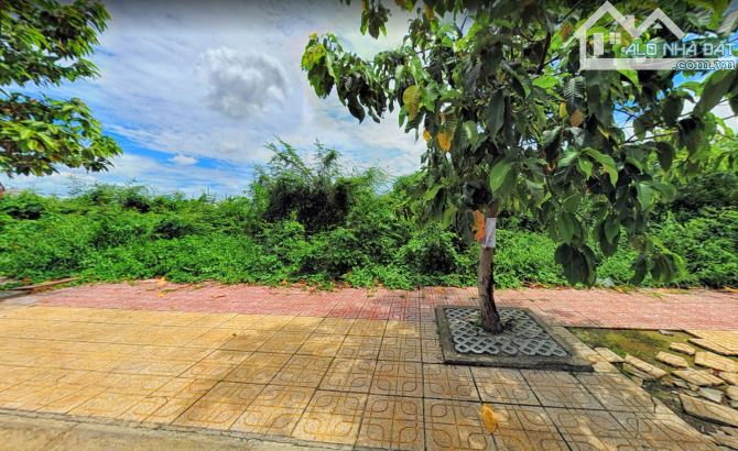 Gíá 195 tỷ. Bán quỹ đất mặt tiền Võ Thị Sáu,vị trí cực đẹp siêu hiếm ngang 32m tổng 839m2 - 3