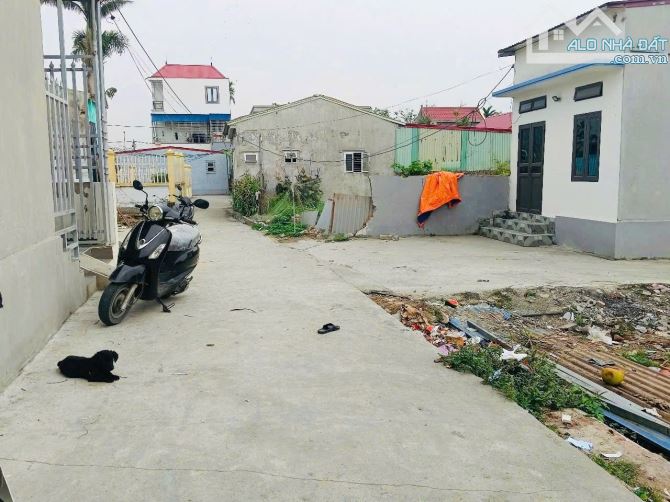 Bán đất Cốc Liễn - Minh Tân - Kiến Thụy - Hải Phòng - 3