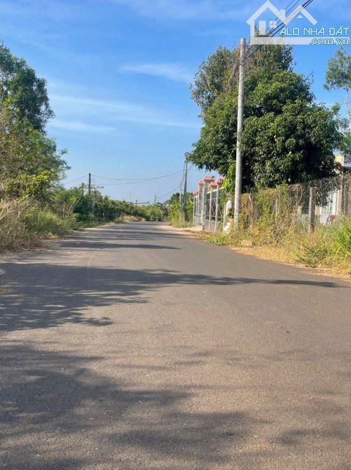 Cần bán vườn xoài 12.496m2 đất phủ hồng, mặt tiền nhựa đến 76m, cách biển 15 phút - 3