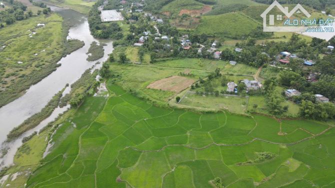 Bán Nhanh 540m2 có 100m ont còn lại đất CLN đất tại Nam Thượng-Kim Bôi-Hoà Bình - 3