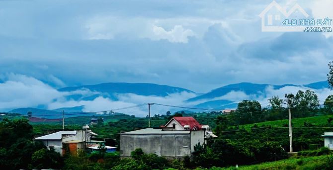 Bán đất thổ cư tại Nam Hà, Lâm Đồng . Vị trí cực đẹp . Giá 680 triệu , 469m2 - 3