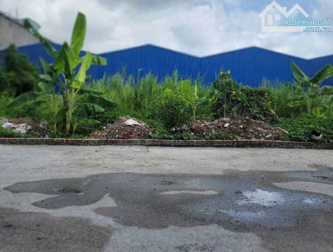 Đất vuông đẹp Hẻm xe tải 100m2 – Thạnh Xuân 47 Q12 - 3