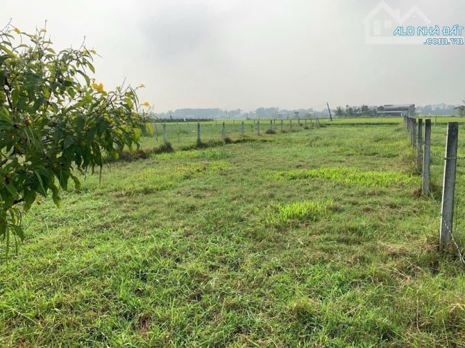 Đất thổ cư 480m2 hẻm xe hơi Quốc lộ N2 Hoà khánh đông gần vòng xoay Hoà khánh - 3