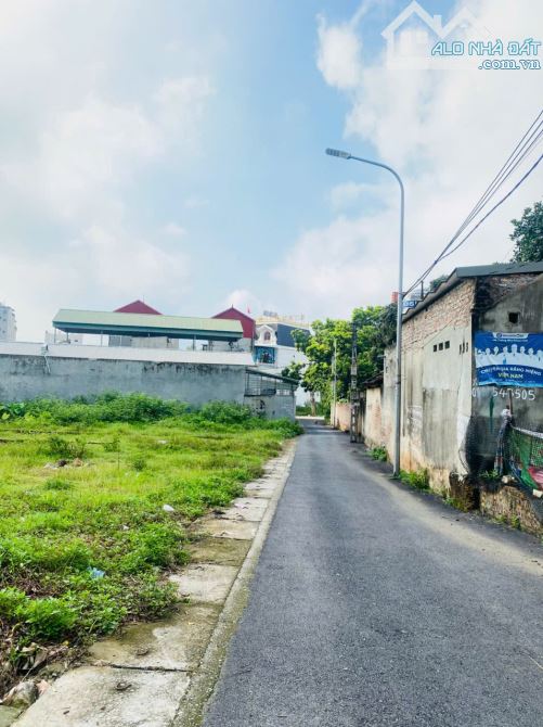 Bán ô đất thôn Tam Lộng, Hương Sơn, Bình Xuyên, 100m2, giá: 1,5 tỷ - 3