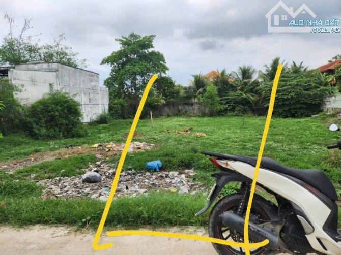 299 m2 ĐẤT VƯỜN BAO THỔ ĐƯỜNG BÊ TÔNG 6m ĐỨC HÒA TT 600 TRIỆU CHÍNH CHỦ - 3