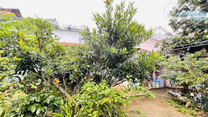 ✨🏡✨ CẦN BÁN ĐẤT MẶT TIỀN ĐƯỜNG AN BÌNH P.04, ĐÀ LẠT 🌿 - 3