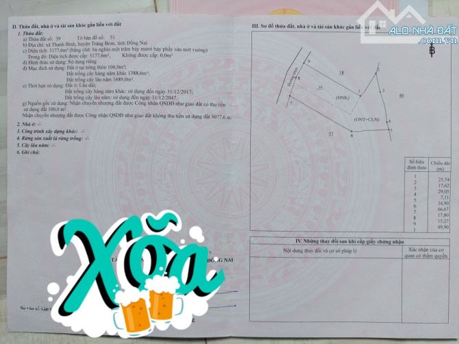 Chính chủ cần Bán nhà đất Đường Tân Thành,Xã Thanh Bình, Trảng Bom, Đồng Nai - 3