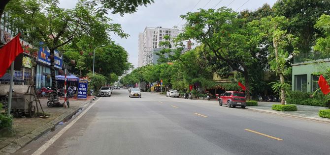 Bán biệt thự phố Trần Thủ Độ - KĐTM Pháp Vân , DT 300 m2, lô góc, mặt phố! - 3
