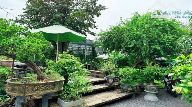21m ôm MẶT TIỀN đường LÊ DUẨN – TT THỊ TRẤN ĐẤT ĐỎ ☘️Đi biển Phước Hải 5 phút - 3