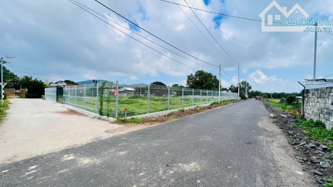 👉 1401m2 ngang 50x35 đã có 400tc  Góc 3 mt cực đẹp 📍Long Mỹ -  Đất Đỏ- BRVT - 3