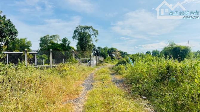 NGAY TRƯỚC KCN ĐẤT ĐỎ XÃ ĐẤT ĐỎ TP - HCM GIÁ CHỈ 650 TRIỆU✅ 📐Diện tích 5x33-164m - 3
