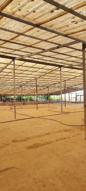 ✅️ Cho thuê xưởng  và khuân viên đất tổng DT 17.000m² giá  chỉ 50 triệu/1 tháng - 4