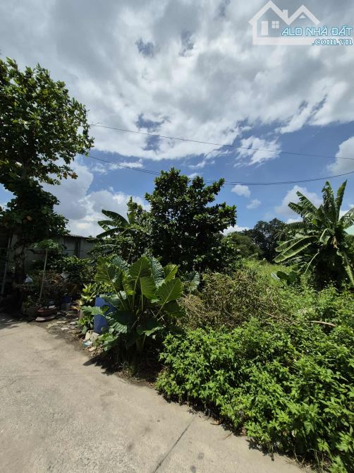 🔥🔥ĐẤT ĐỂ XÂY BIỆT THỰ VƯỜN - PHÂN LÔ - ĐẦU TƯ SINH LỜI CAO - THỔ CƯ 100% - 862M2 (16*70) - 4