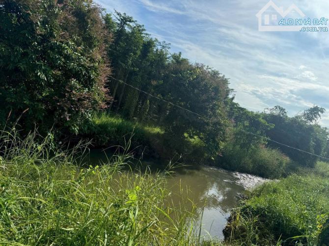 View suối tại Đá Bạc Châu Đức Bà Rịa - Giá Bán: 1 tỷ 180 triệu với DT: 1.000m2 - 4
