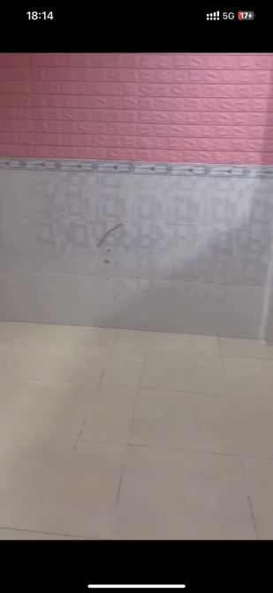 NP813 🆘 Bán nhà cấp 4 kp2 phường trảng dài - đồng Nai  Giá chỉ 2 tỉ 350 ( thương lượng) - 4