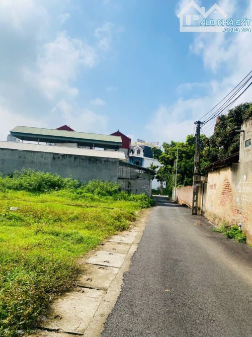 Bán ô đất thôn Tam Lộng, Hương Sơn, Bình Xuyên, 100m2, giá: 1,5 tỷ - 4