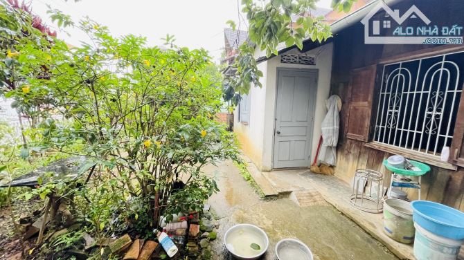 ✨🏡✨ CẦN BÁN ĐẤT MẶT TIỀN ĐƯỜNG AN BÌNH P.04, ĐÀ LẠT 🌿 - 4