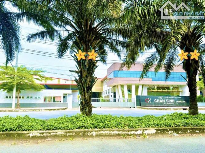 Duy nhất 2 lô đất 100m2 nằm trên mặt tiền Trần Văn Giàu - Full thổ cư, sổ hồng riêng - 4