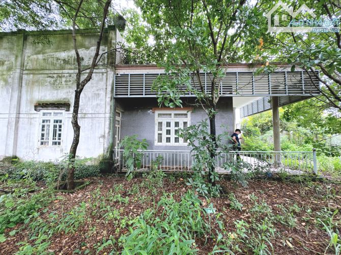 NP831 Bán lô biệt thự nhà vườn 846m2 Gần trường học Trần Quốc Toản chợ Giang Điền Trảng Bo - 4