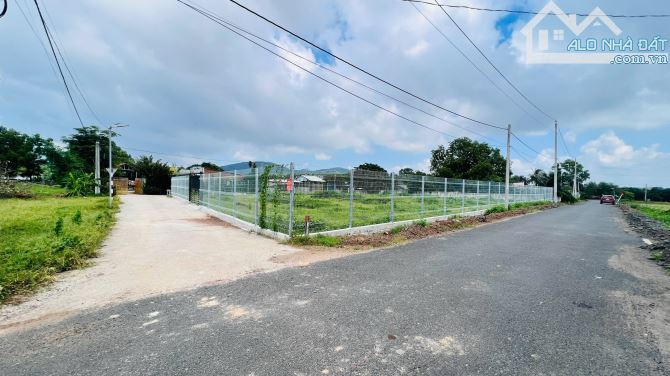 👉 1401m2 ngang 50x35 đã có 400tc  Góc 3 mt cực đẹp 📍Long Mỹ -  Đất Đỏ- BRVT - 4