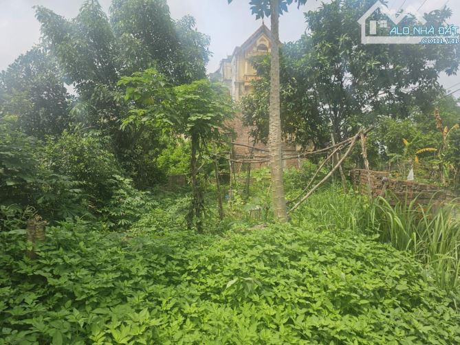 Bán đất lô góc 53m2 Kim Hồ - Lệ Chi đường ô tô tránh - 4