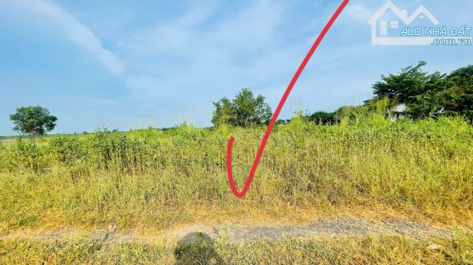 NGAY TRƯỚC KCN ĐẤT ĐỎ XÃ ĐẤT ĐỎ TP - HCM GIÁ CHỈ 650 TRIỆU✅ 📐Diện tích 5x33-164m - 4