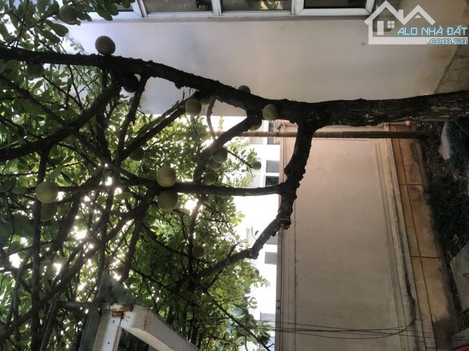 Bán biệt thự Splendora KĐT mới Bắc An Khánh, 210m2, 3 tầng, giá 50 tỷ (có TL) - 5