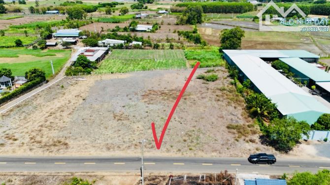LÔ ĐẤT BIỆT THỰ VƯỜN XÃ ĐẤT ĐỎ - TP HCM  📐Diện tích 10x40-399m sẵn 82m thổ cư - 5