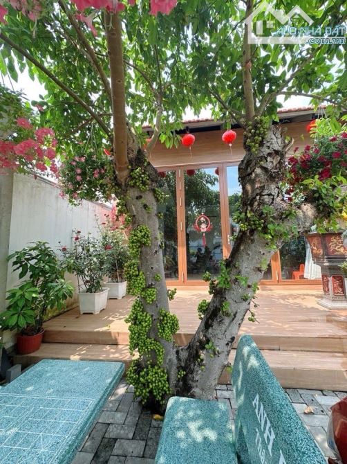 BÁN NHÀ MẶT TIỀN TO, TƯƠNG LAI MẶT TIỀN 16M, ĐÔNG HƯNG THUẬN  QUẬN 12, DT 1.226M² (25×49) - 6