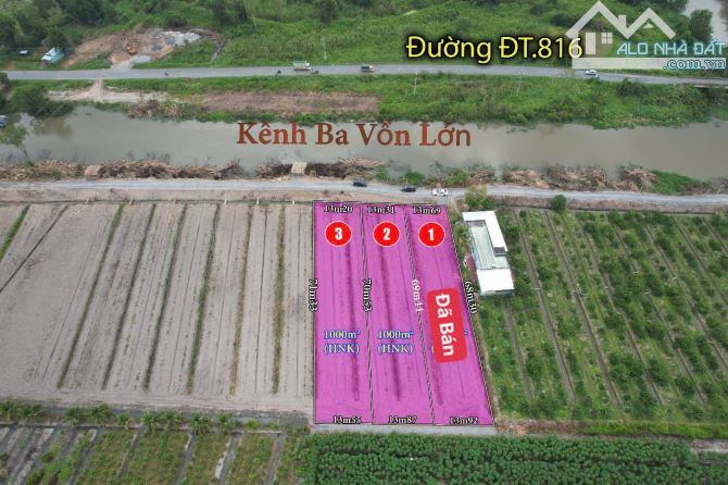 1000m2 đất vườn mặt tiền 816 vew kênh được lên thổ 1ty650 triệu Bình đức bến lức rẻ nát kh - 5