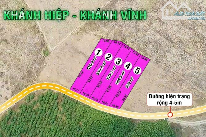 3000m2 đã chia thành 5 sổ, đất vuông đẹp giá tốt tại Khánh Hiệp Khánh Vĩnh - 6