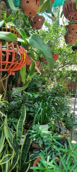 Cho thuê căn hộ 150m², tầng 2, biệt thự -ngõ 279 Đội Cấn,Ba Đình, căn hộ đẹp, FULL đồ