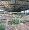 Bán xưởng 3,1 ha tại Phú Giáo Bình Dương - chỉ 180 tỷ