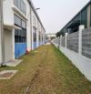 Bán 10000m2 xưởng  khu công nghiệp visip2, Bình Dương