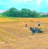 Quá Ngộp, 190m2 đất thổ cư đường ô tô KDC Tân Trụ, 379tr